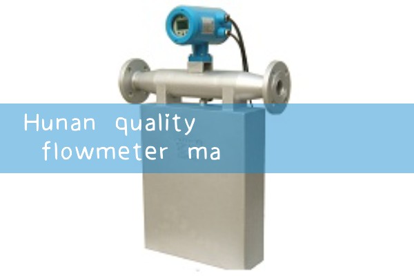 Hunan Quality Flow Meter Manufacturer
